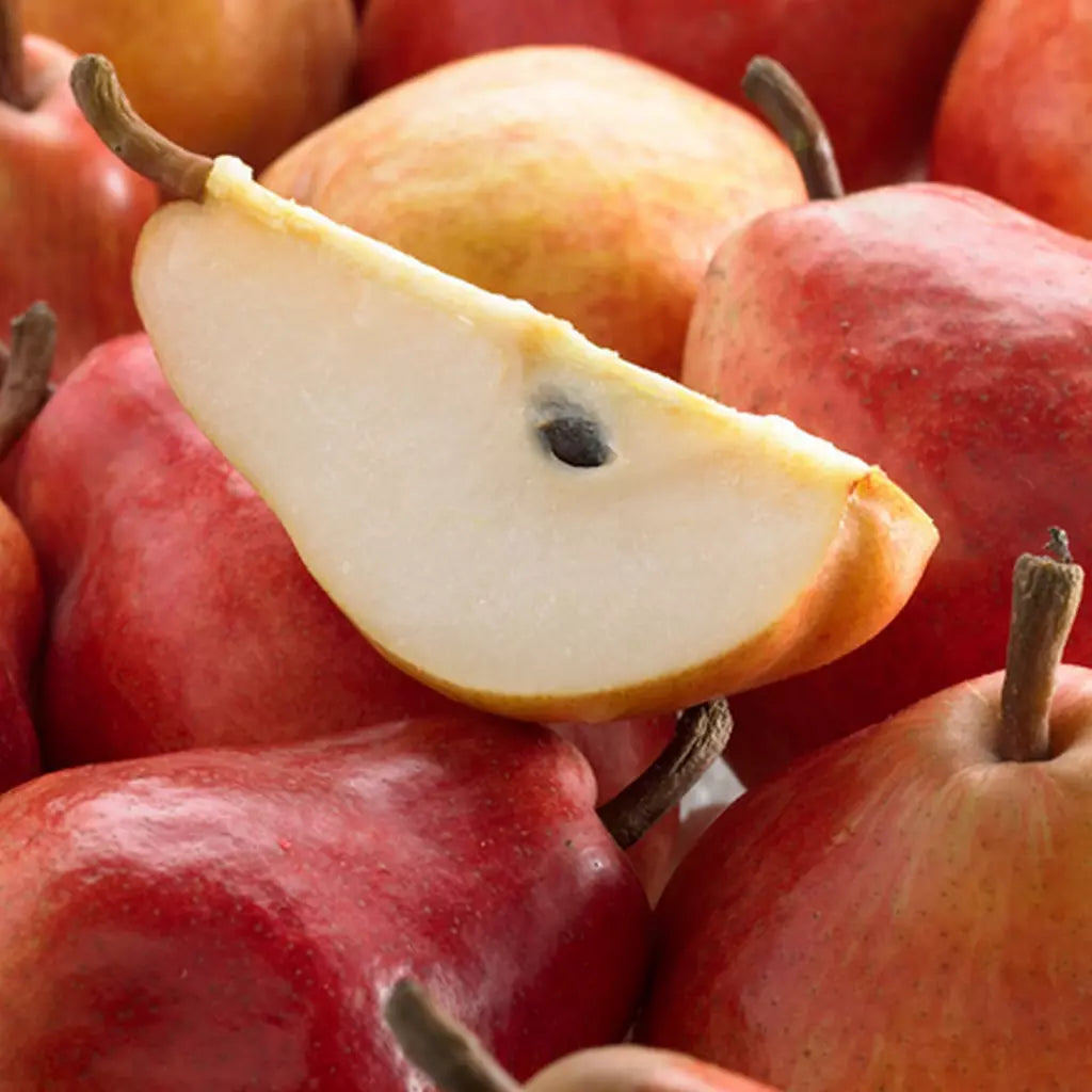 Par Williams Rosu, Pyrus Communis