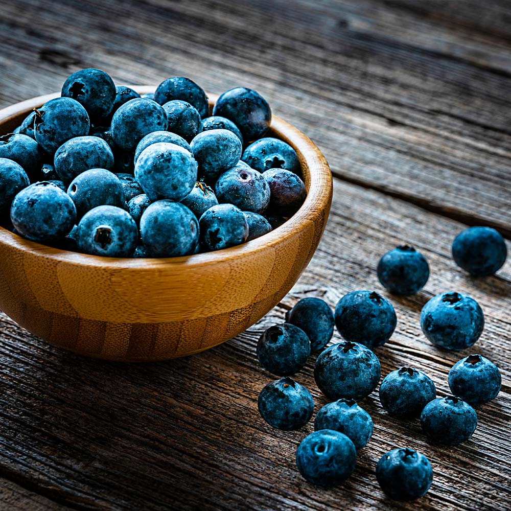 Afin Spartan, Vaccinium Corymbosum Spartan