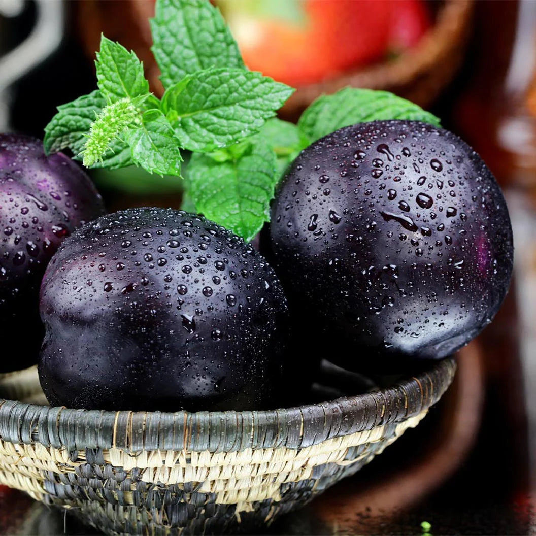 Prun Angeleno, Prunus Domestica