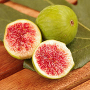 Smochin Verdino, Ficus Carica