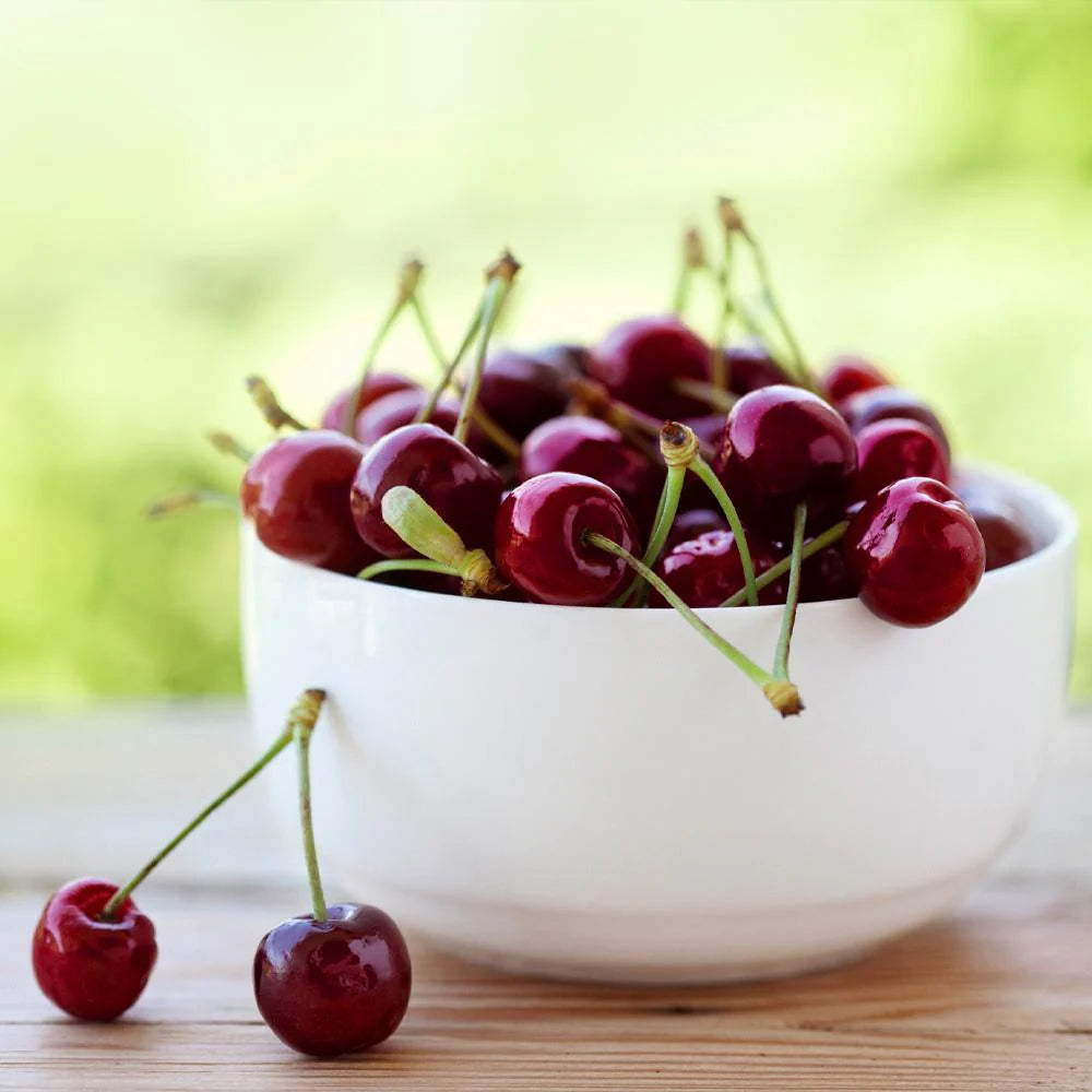 Cires Lapins, Prunus Avium