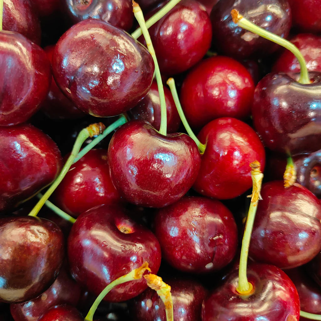 Cires New Star, Prunus Avium