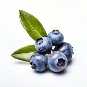 Afin Ozarkblue, Vaccinium Corymbosum Ozarkblue