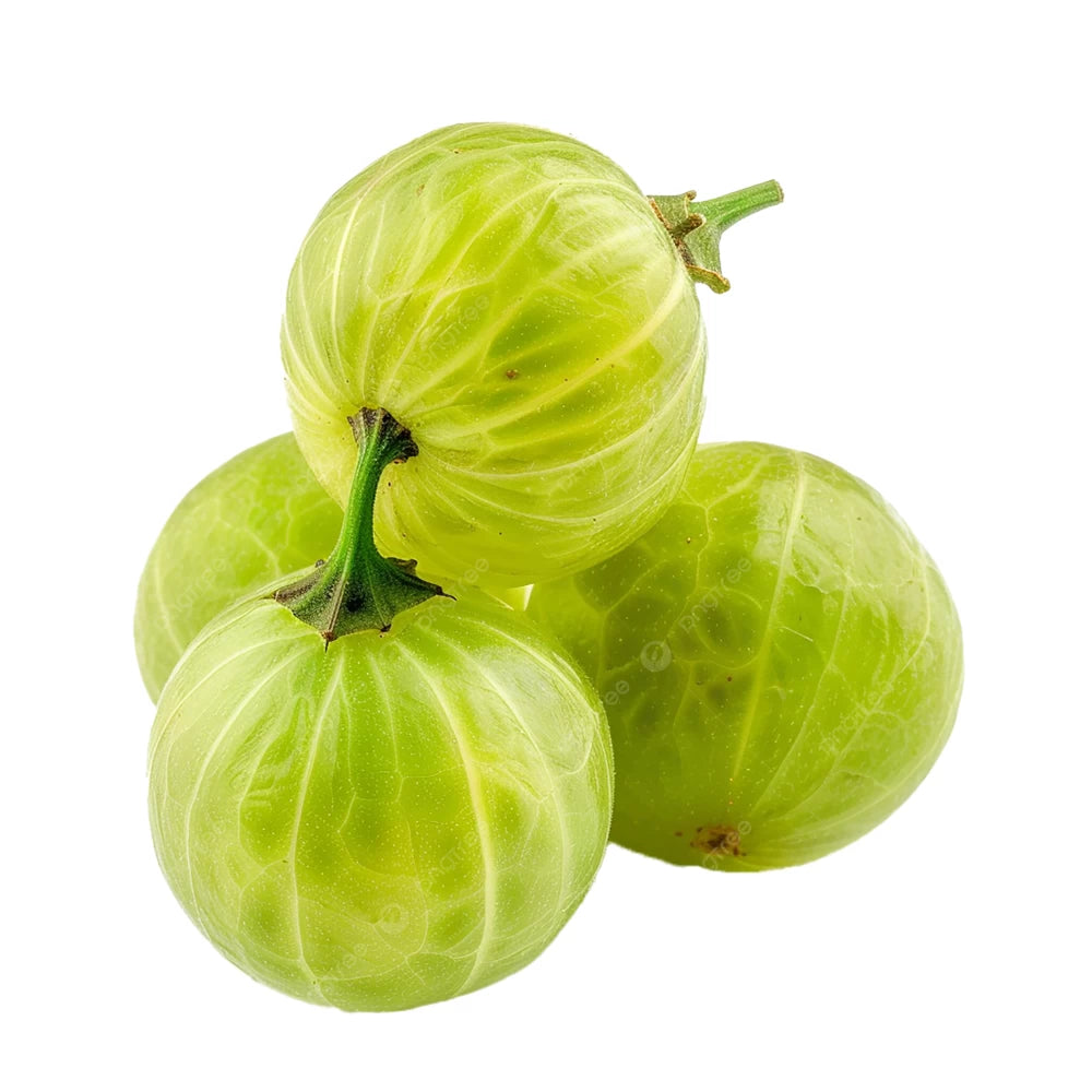 Agris Hinnonmaki, Ribes Grossularia Hinnonmaki