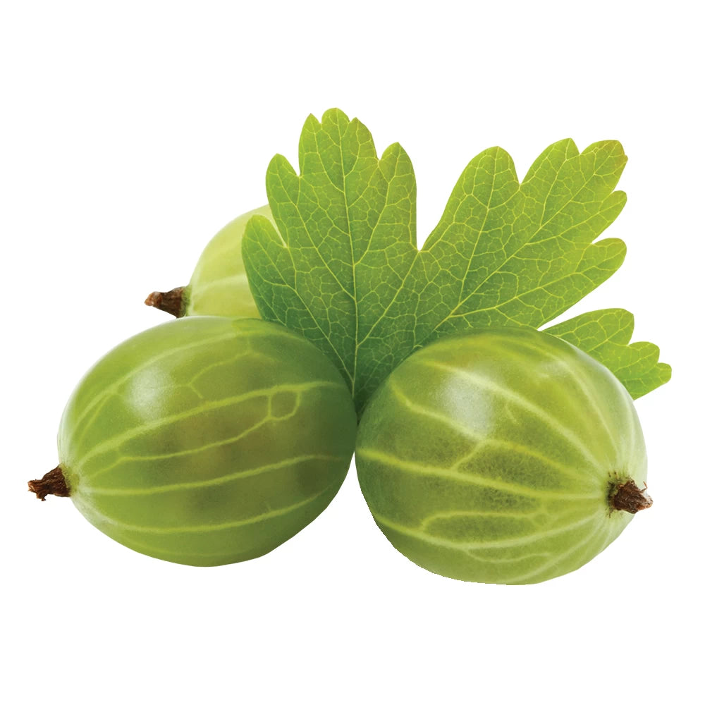 Agris White Smith, Ribes Grossularia White Smith