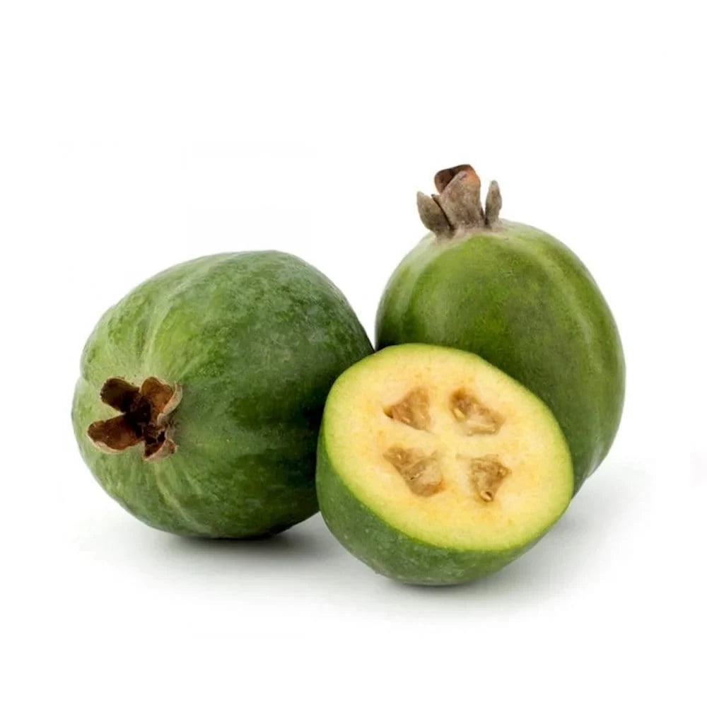Ananas Guava Mamut, Feijoa Sellowiana
