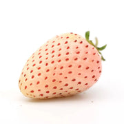 Capsun Alb Snow White, Pineberries