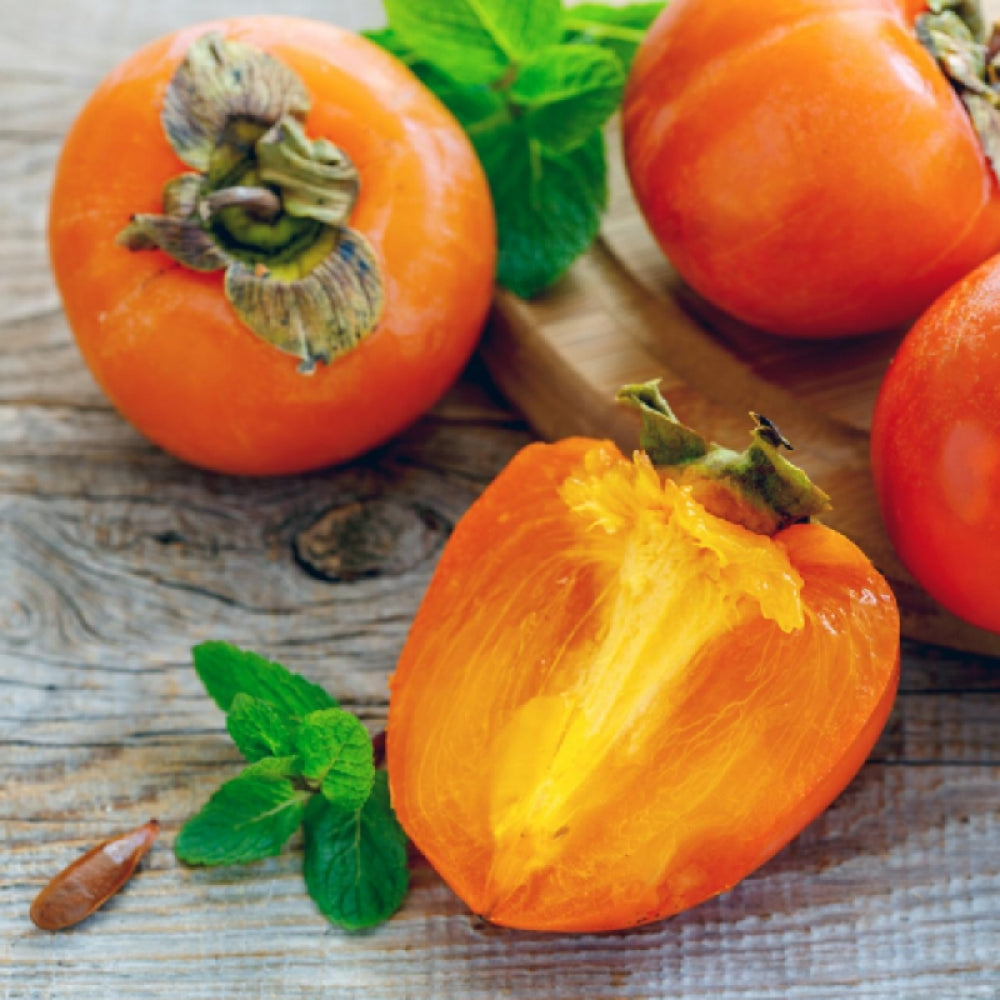 Kaki Cioccolatino, Diospyros Kaki