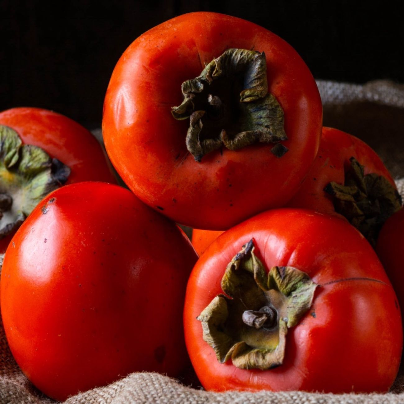 Kaki Rojo Brillante, Diospyros Kaki