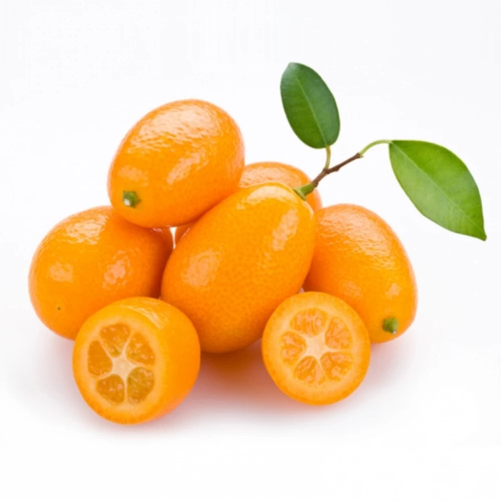 Kumquat, Citrus Japonica, autofertil