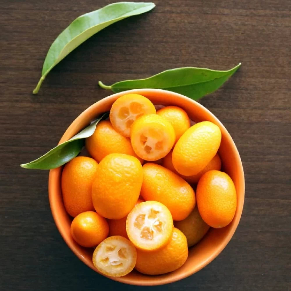 Kumquat, Citrus Japonica, autofertil