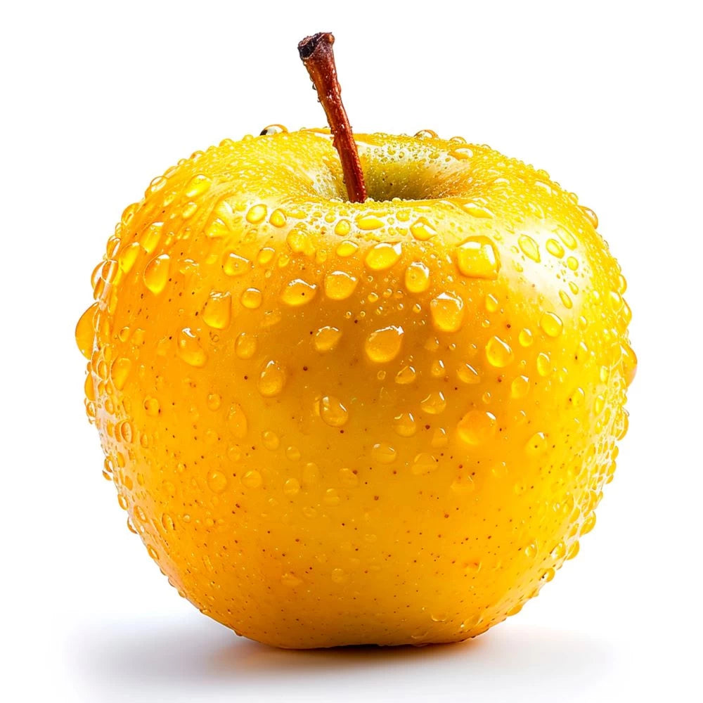 Mar Golden Delicious, Malus Domestica