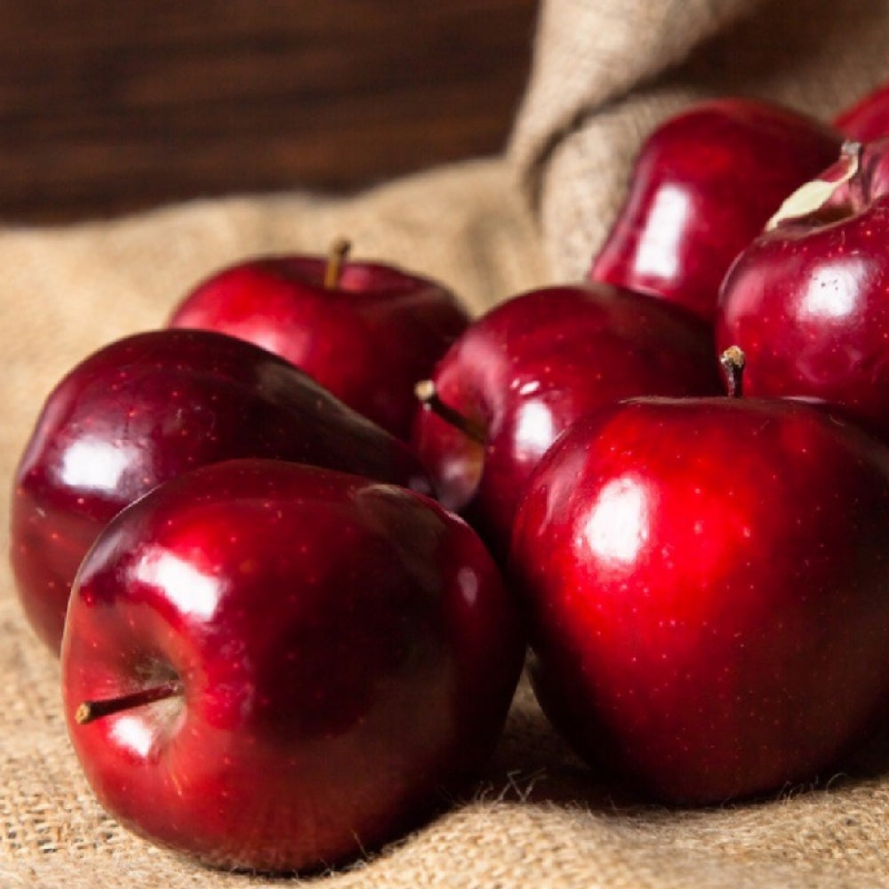 Mar Stark Delicious, Malus Domestica