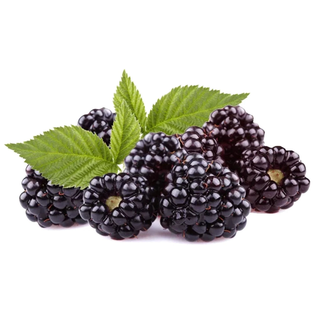 Mur Boysenberry, Rubus Fruticosus Boysenberry