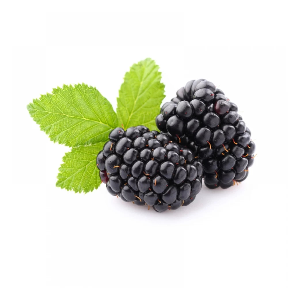 Mur, Rubus Fruticosus