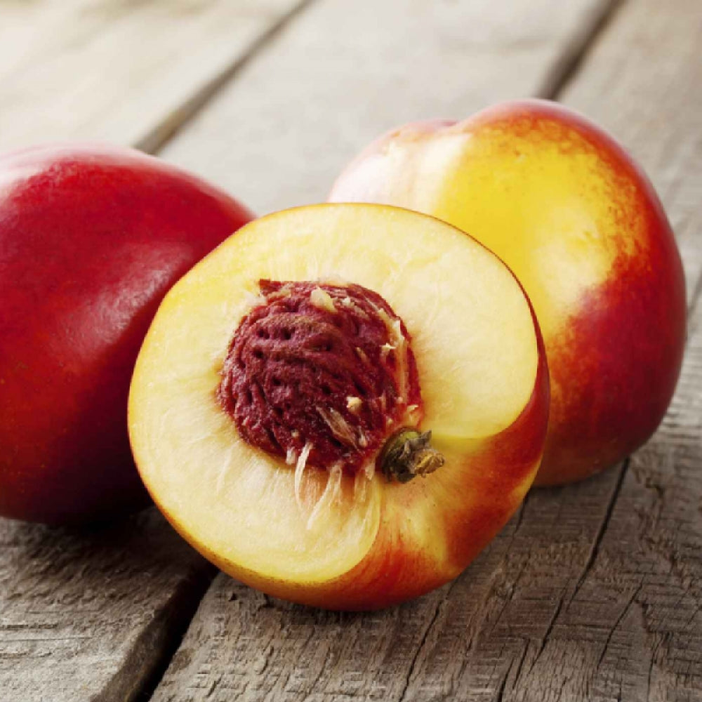 Nectarin Big Top, Prunus Persica var. Nucipersica