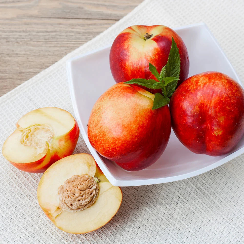 Nectarin Tardiva, Prunus Persica var. Nucipersica