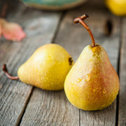 Par Decana del Comizio, Pyrus Communis