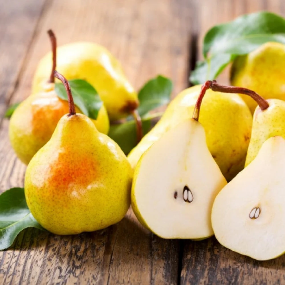 Par Williams Alb, Pyrus Communis