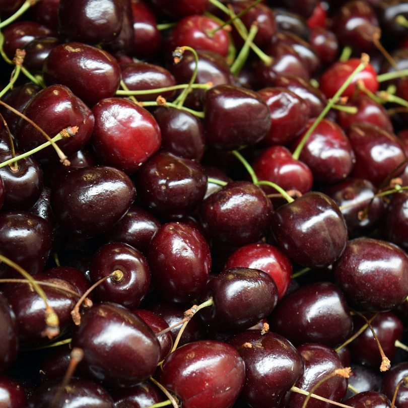 Cires Durone Anella, Prunus Avium