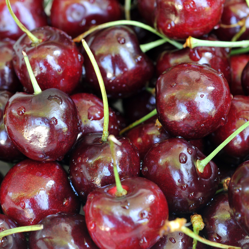 Cires Bigarreau Burlat, Prunus Avium