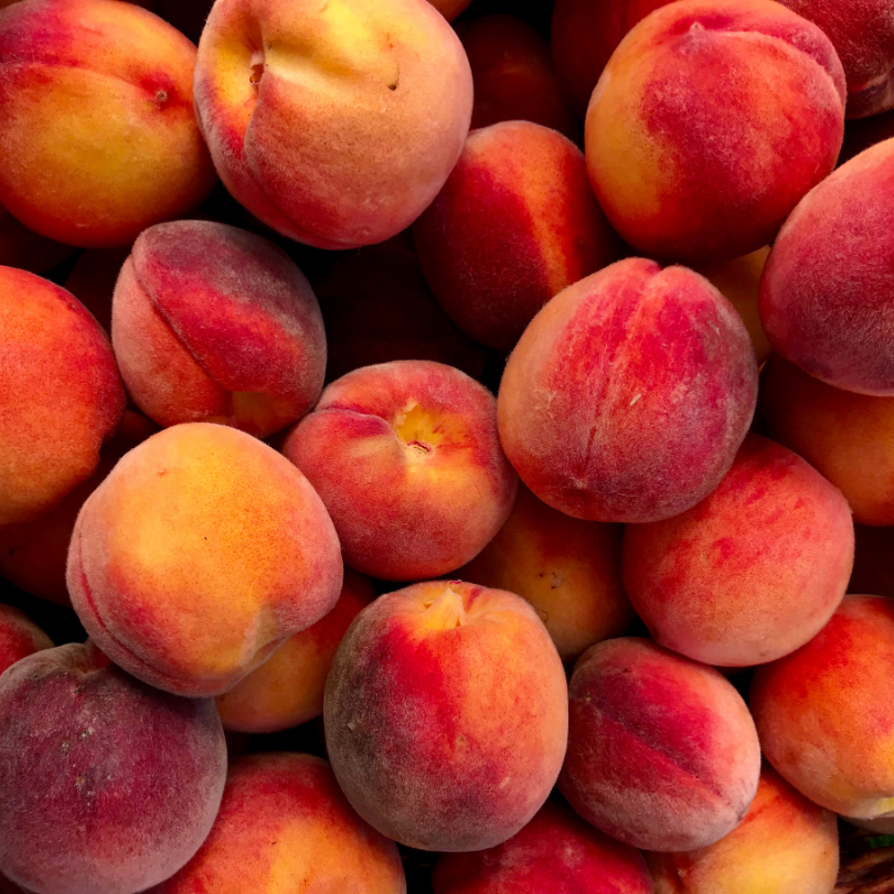 Piersic Baby Gold, Prunus Persica Baby Gold