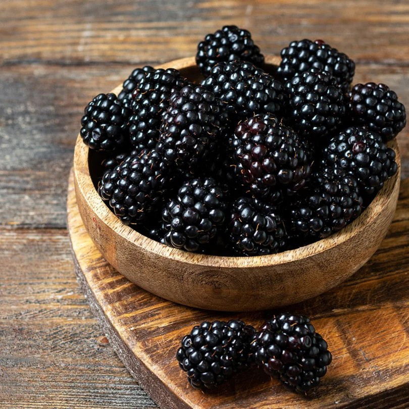 Mur Loch Ness, Rubus Fruticosus Loch Ness