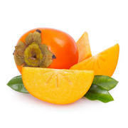 Kaki, Diospyros Kaki