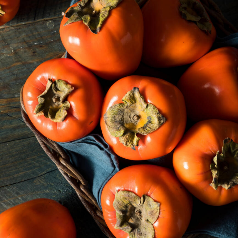 Kaki Cioccolatino, Diospyros Kaki