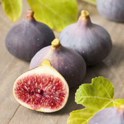 Smochin Rouge de Bordeaux, Ficus Carica