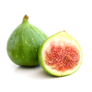 Smochin Panino, Ficus Carica