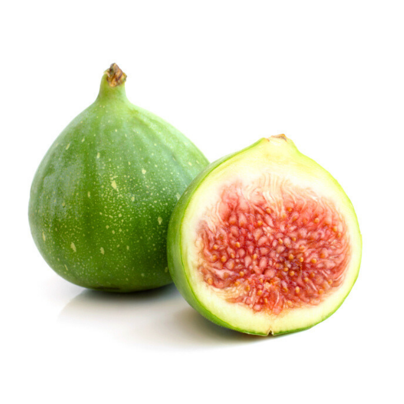 Smochin Panino, Ficus Carica