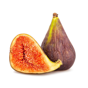 Smochin Lungo del Portogallo, Ficus Carica