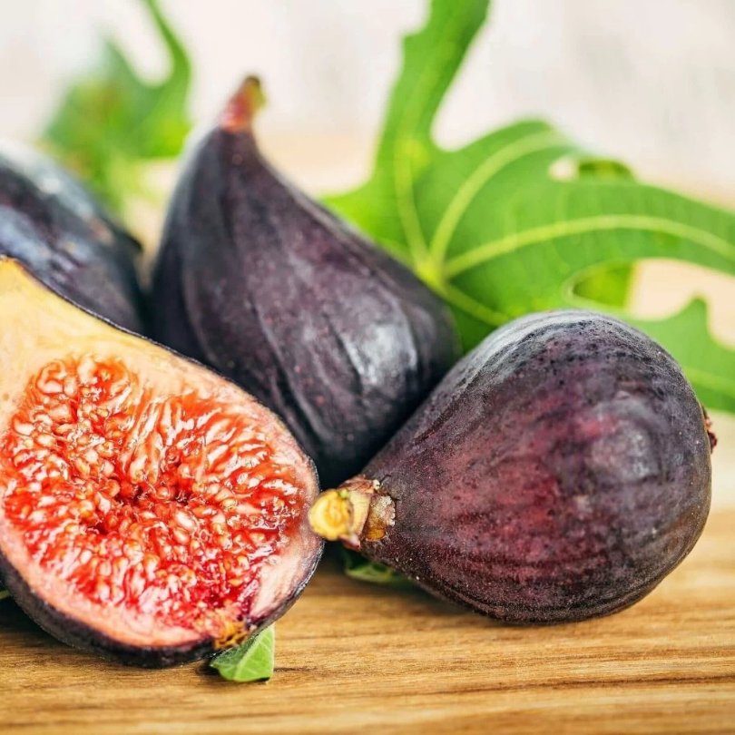 Smochin Little Miss Figgy, Ficus Carica