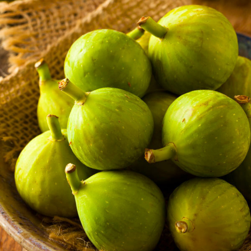 Smochin Janotte, Ficus Carica
