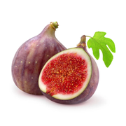 Smochin Francesca, Ficus Carica