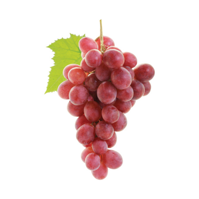 Vita de Vie Pinot Gris, Vitis Vinifera, pentru vin, rosu