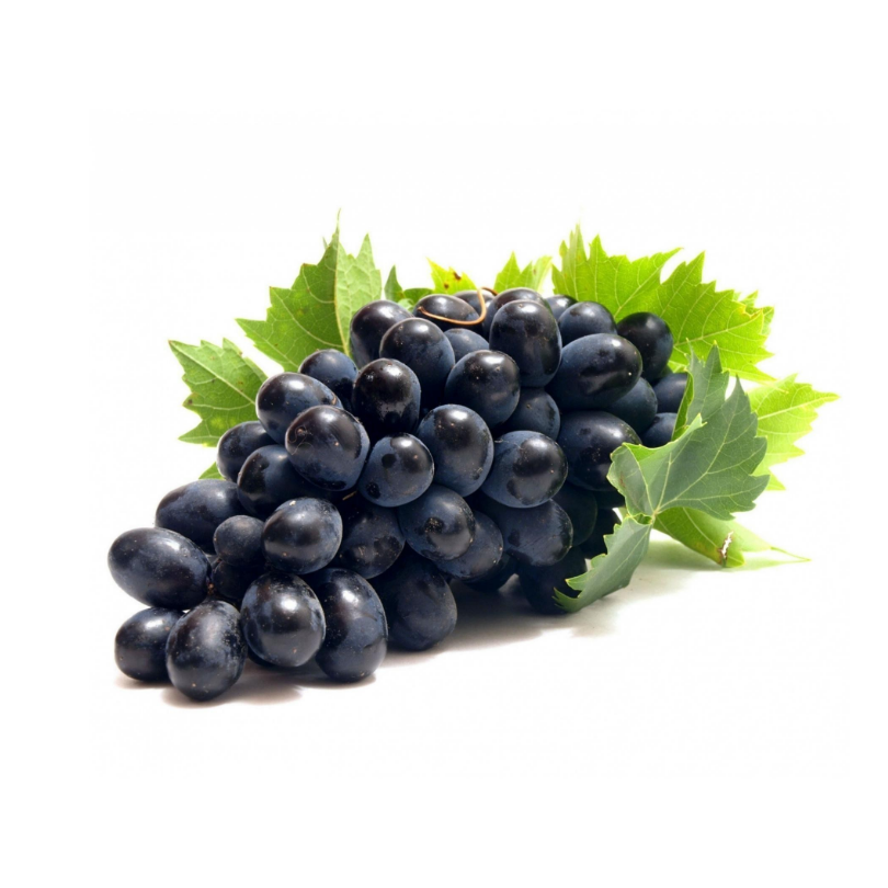 Vita de Vie Nero Resistente, Vitis Vinifera, pentru masa, negru