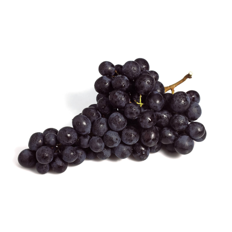 Vita de Vie Muscat Noir, Vitis Vinifera, pentru vin, negru