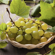 Vita de Vie Muscat Dorato, Vitis Vinifera, fara samburi, alb
