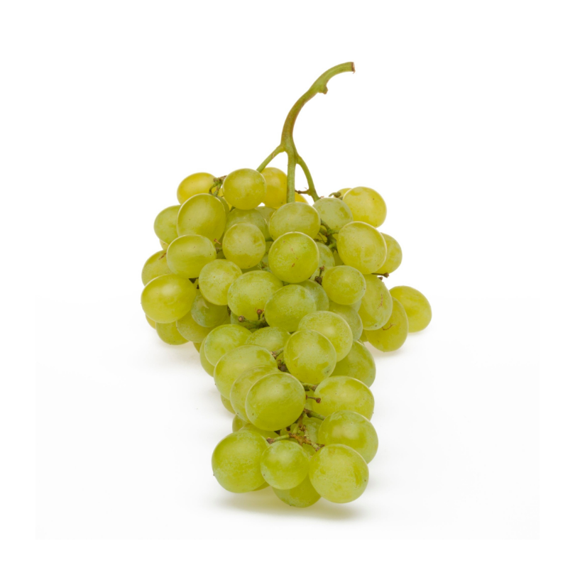 Vita de Vie Matilde, Vitis Vinifera, pentru masa, alb