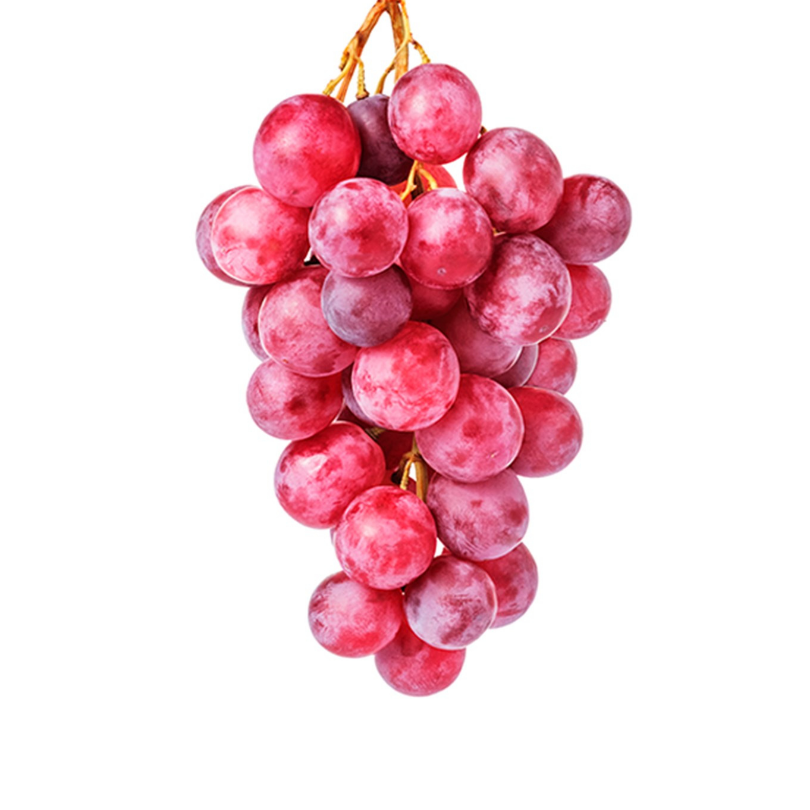 Vita de Vie Cardinal, Vitis Vinifera, pentru masa, rosu