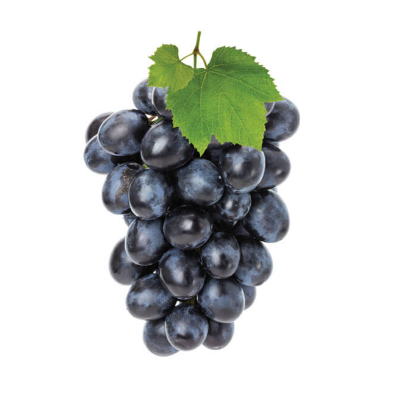 Vita de Vie Attika, Vitis Vinifera, fara samburi, negru