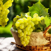 Vita de Vie Angela, Vitis Vinifera, pentru masa, alba