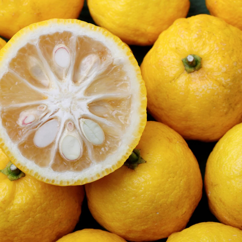 Lamai, Citrus Junos Yuzu