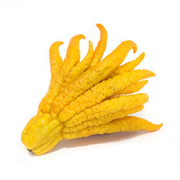 Lamai Mana lui Buddha, Citrus Medica Digitata Mano di Buddha