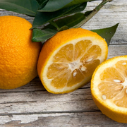 Portocal Arancio, Citrus Sinensis, pe rod