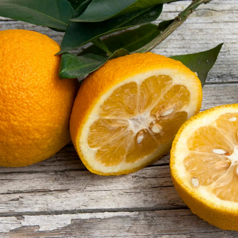 Portocal Arancio, Citrus Sinensis, pe rod