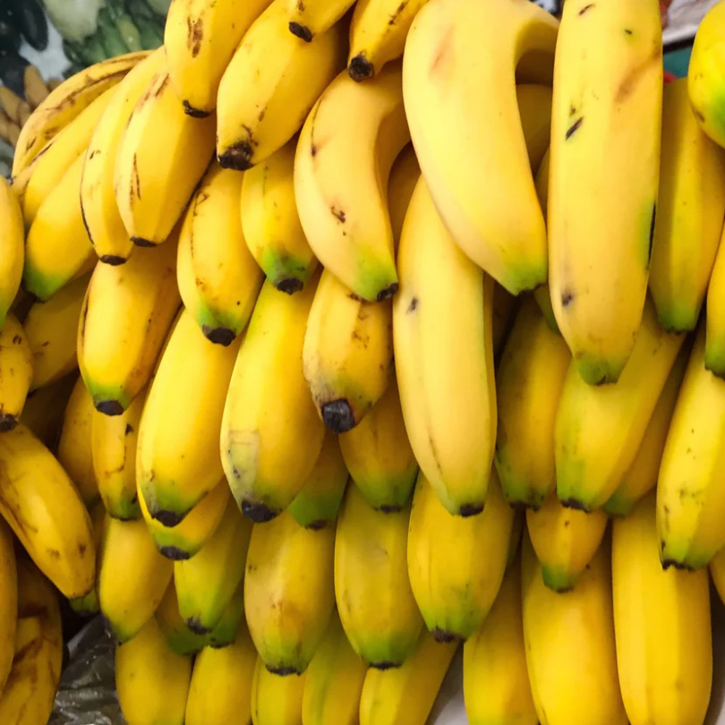 Bananier Pitic Asiatic, Musa Acuminata
