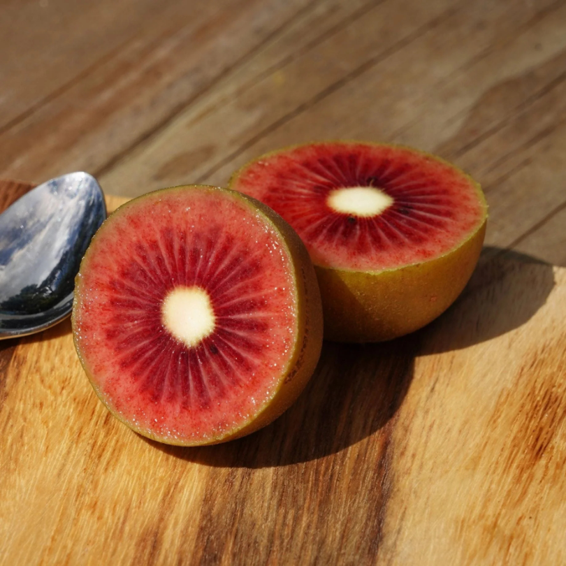 Kiwi rosu, Actinidia Chinensis Arguta Red